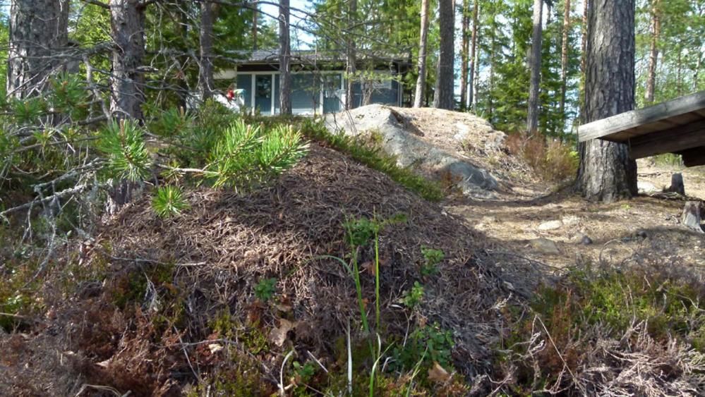 Дома для отпуска Tikkamäki Оривеси-45